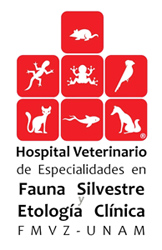 logo_hospital
